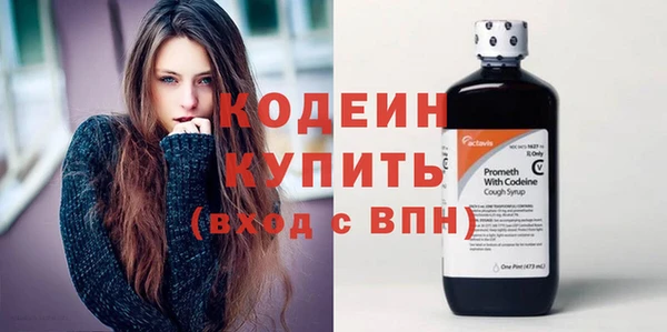 дживик Няндома