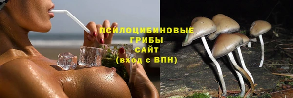 apvp Алапаевск
