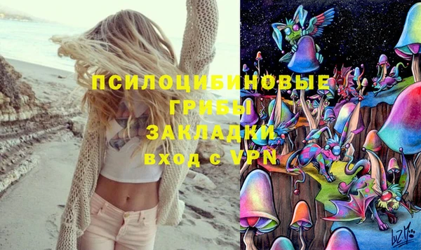 шишки Семёнов