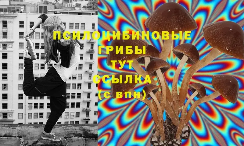 Псилоцибиновые грибы Magic Shrooms  ссылка на мегу рабочий сайт  Райчихинск 